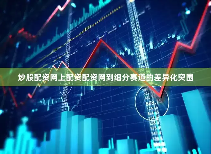 炒股配资网上配资配资网到细分赛道的差异化突围