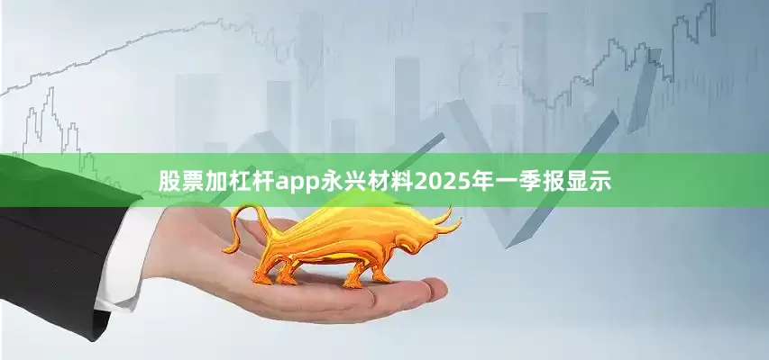 股票加杠杆app永兴材料2025年一季报显示